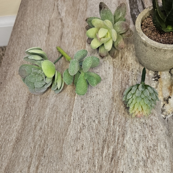 Fake Succulent Lot - Picture 5 of 6